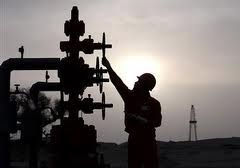 Sulige gas field's output to hit 13.5 bln cu m in 2011 