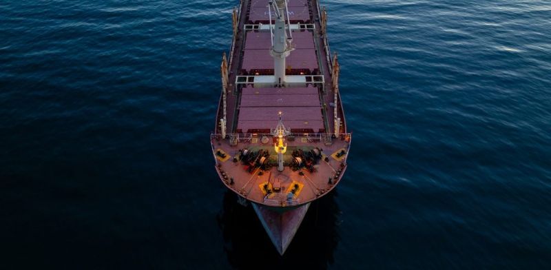 BIMCO Calculates a Third of Ships Could Have to Pay Fees Under USTR Program