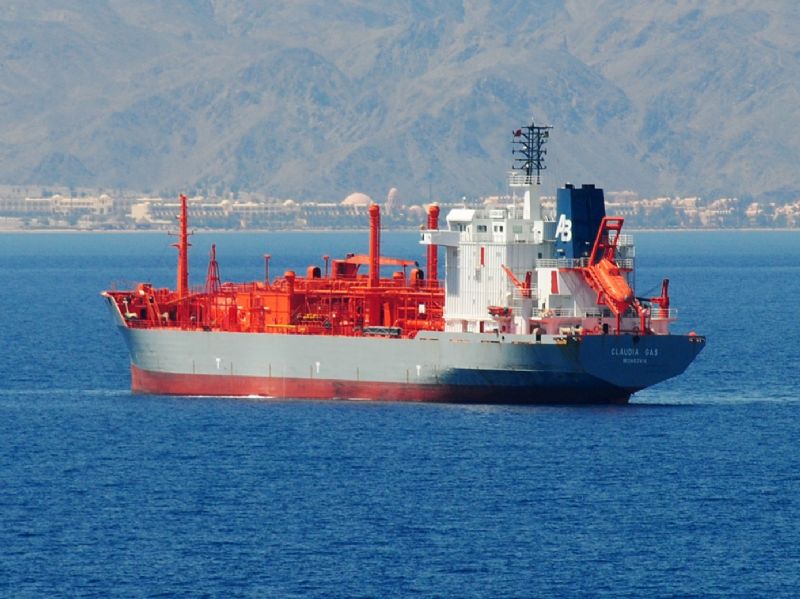 Egypt Detains Gas Carrier After Grounding in Environmental Preserve