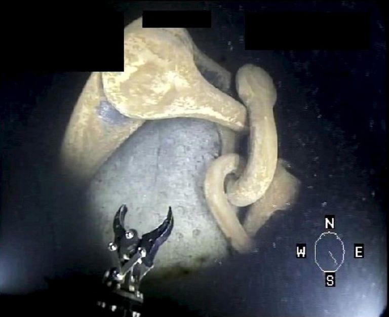 Finland Says Odds of Accidental Subsea Cable Damage