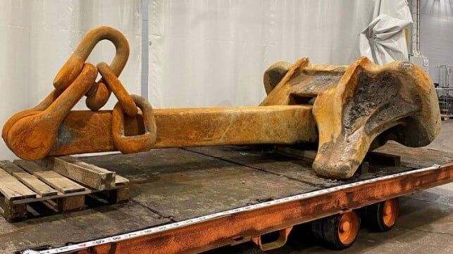 Finland Says Odds of Accidental Subsea Cable Damage