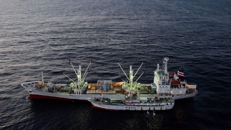 Fraudulent Flags in Illegal Fishing: State Risks and Obligations