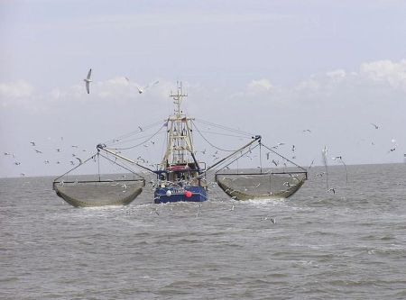 IMO: Safety of Fishing Vessels Conference Opens in South Africa