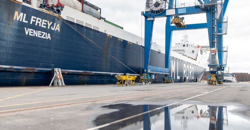 Mooring Lines in Poor Condition Caused Cargo RoRo Endurance to Break Free