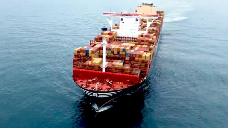 MSC Deploys First 24,000 TEU Boxships to West Africa