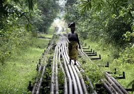 Nigeria's 2013 budget based on oil price of $75 per barrel