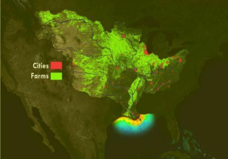 NOAA: Dead Zone in Gulf of Mexico Still Extensive