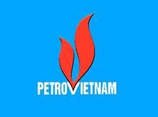 Petrovietnam to start Nghi Son refinery construction in Q4