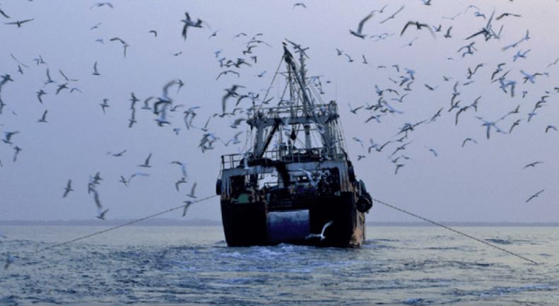 Senegal Moves to Clamp Down on IUU Fishing